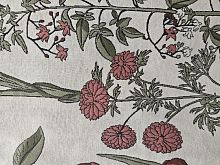 Декоративная Iberis